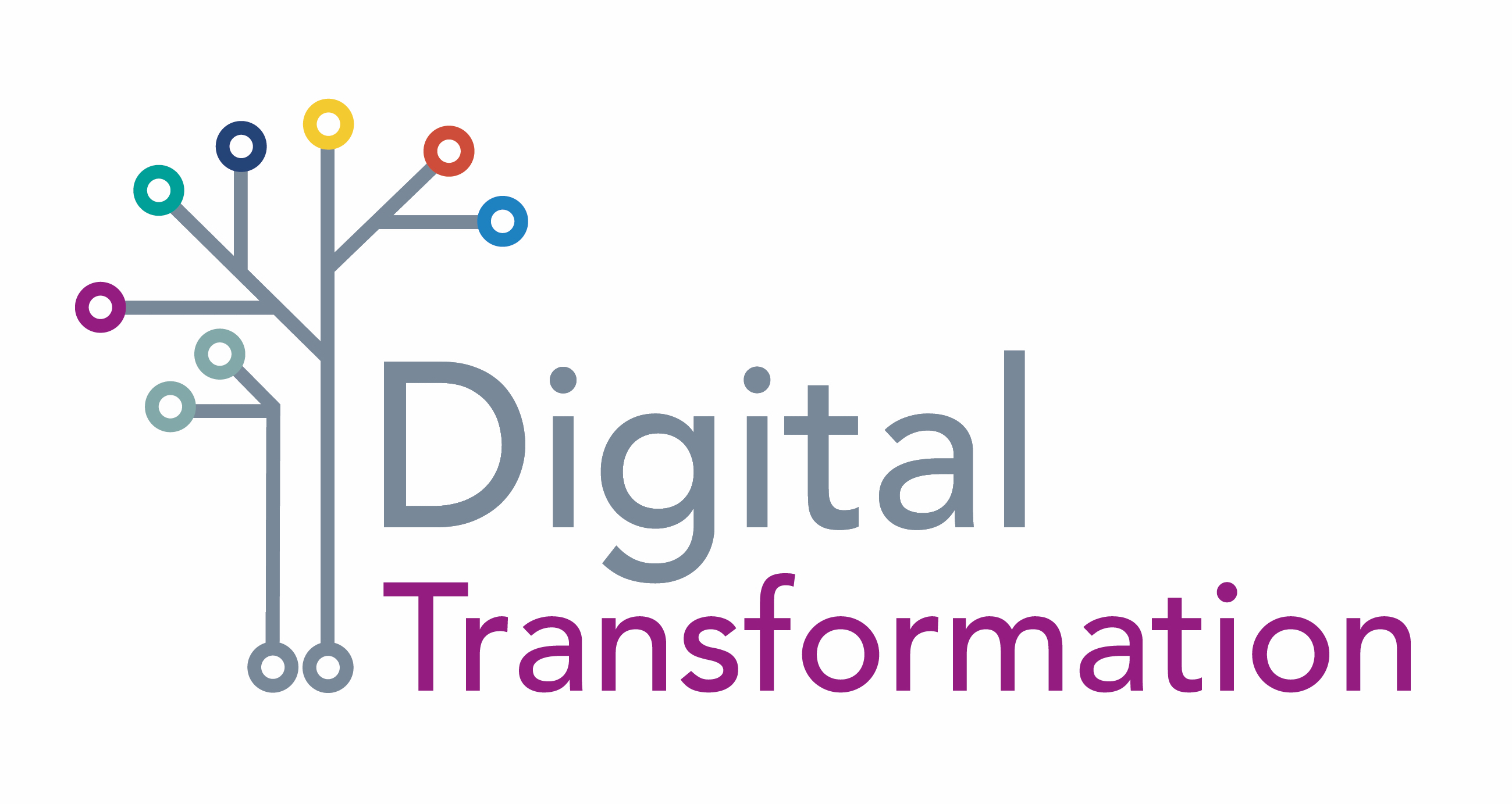 New Programme Change Manager for Digital Governance appointed | Staff ...