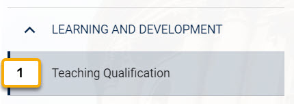 ld  teaching qualification3