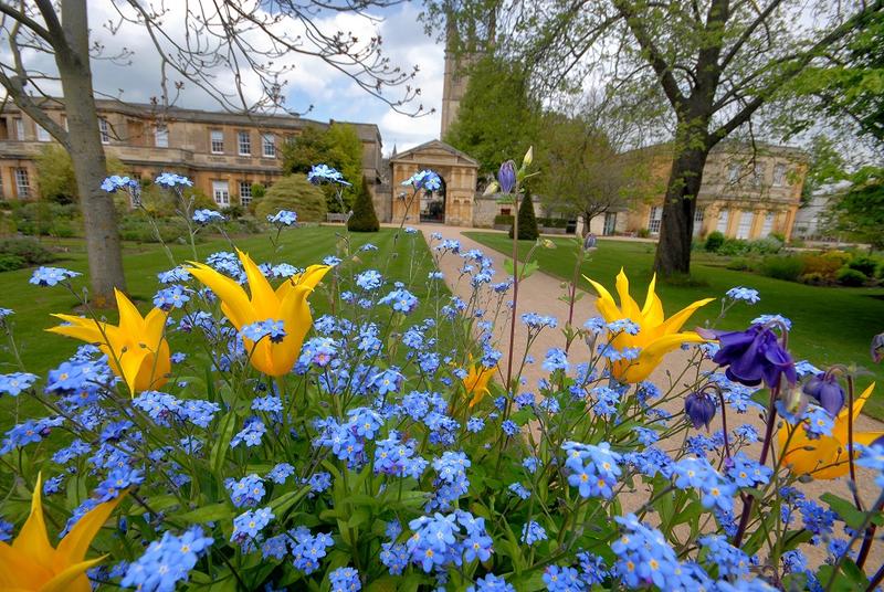 A path in the Oxford Botanic Gardens with blue and yellow spring flowers Oxford Botanic garden - spring flower beds