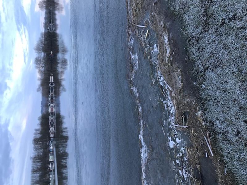 A photo of Port Meadow in Oxford, iced over during the winter season