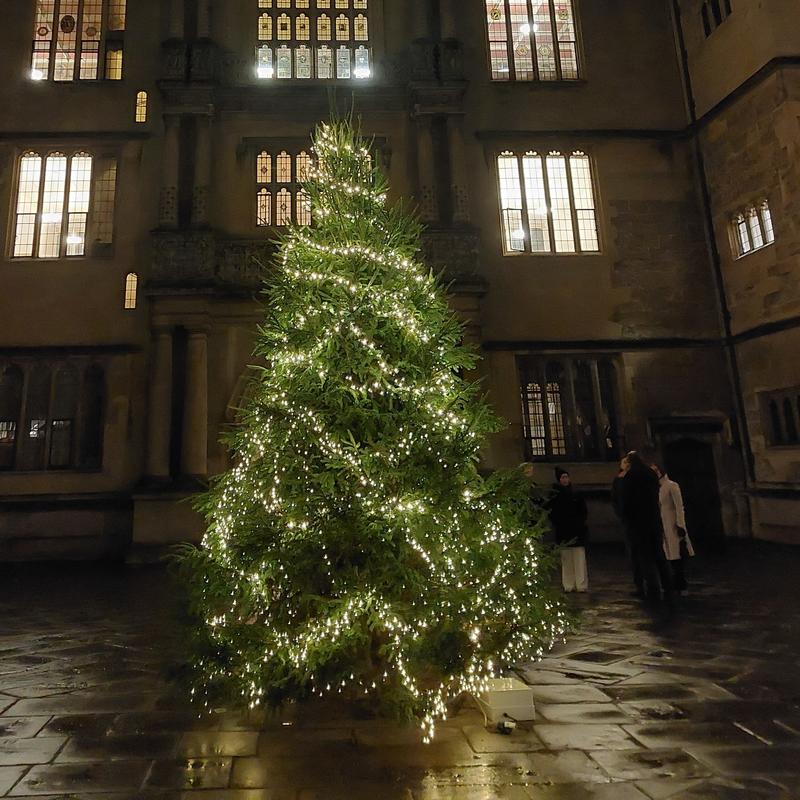 An image of a Christmas tree at night