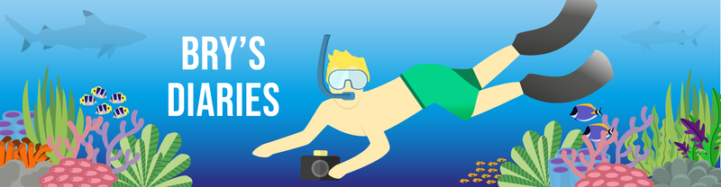 Banner illustration for Bry's diaries - diver on the seabed