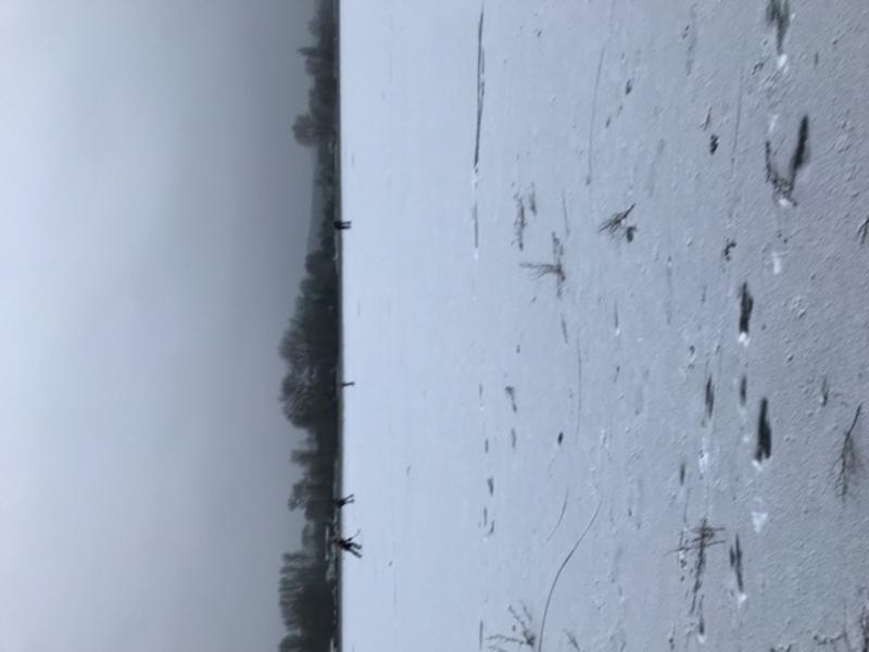 ice hockey being played in a snowy port meadow in Oxford