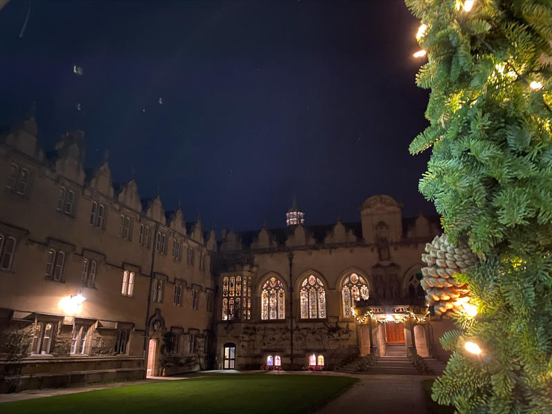 a large building pictured at night, with a Christmas tree in the foreground