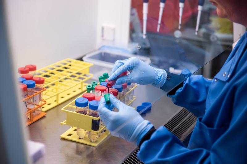 A researcher testing blood samples at the Jenner Institute 