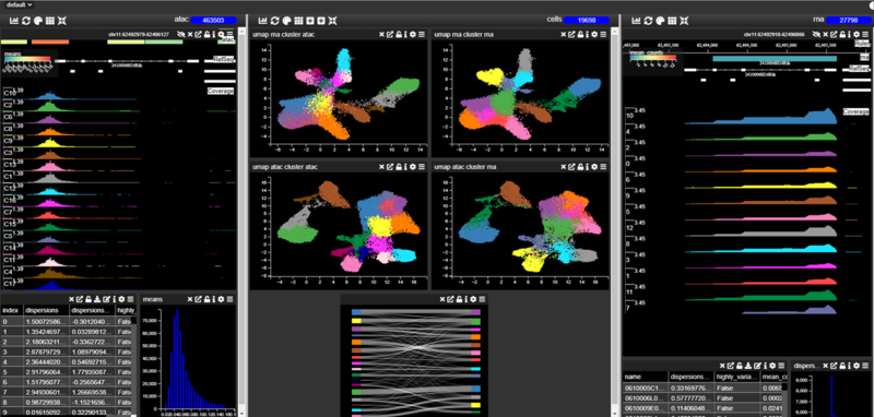 Multiome analysis in MDV