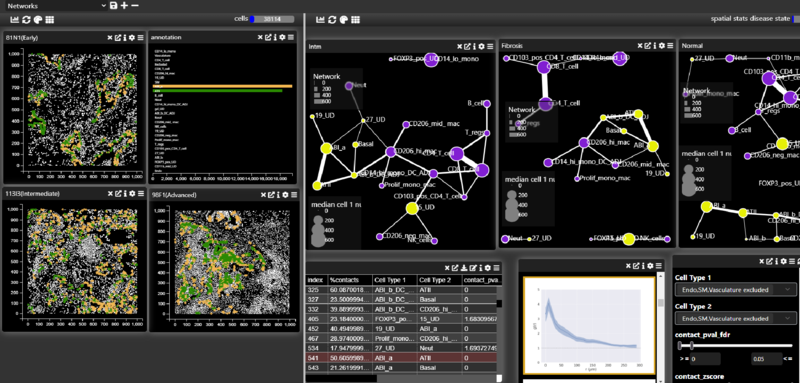 Spatial network analysis in MDV