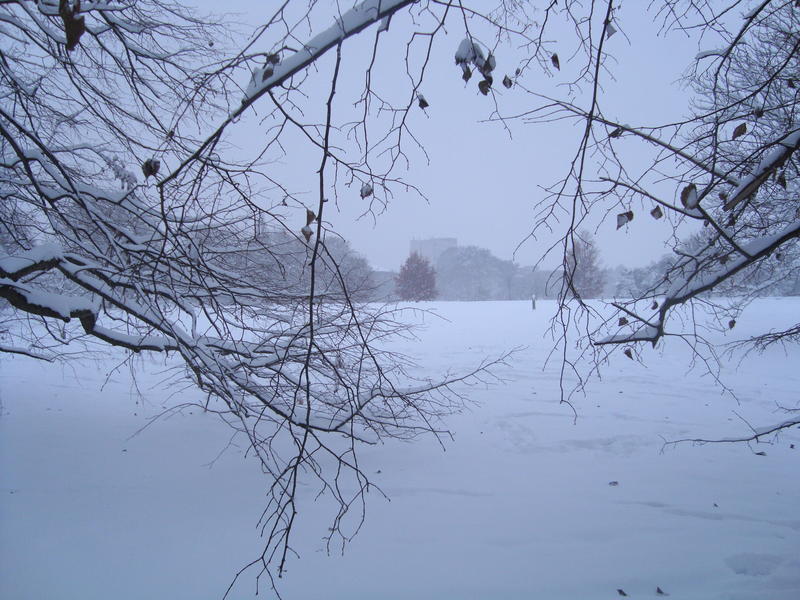A photograph of a snow-covered landscape seen through branches of trees