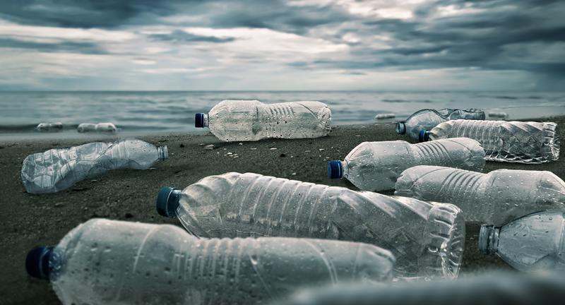 Plastic bottles washed up on a beach 