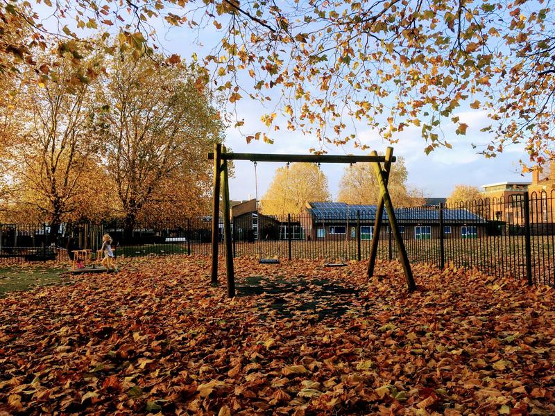 Autumnal photo of a playground