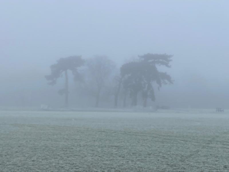 a winter morning at University Parks