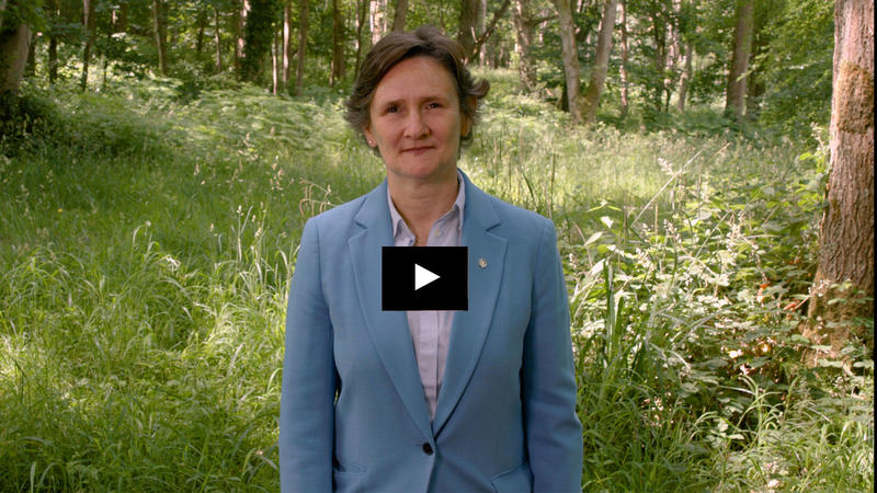 Vice-Chancellor in Wytham Woods