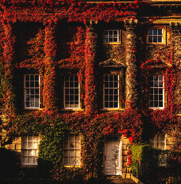 Victorian building with red ivy growing across it