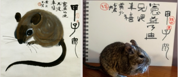 Huang Yongyu's ink and colour rat side-by-side with a degu and a notebook with Huang Yongyu's text