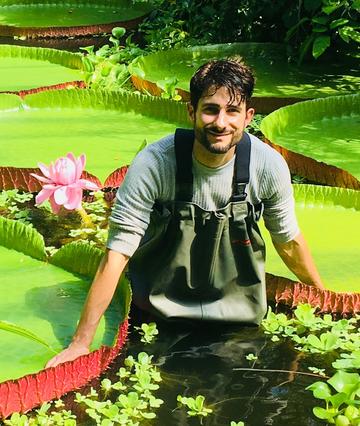 Professor Chris Thorogood stood in the pond among the giant lily pads in the Oxford Botanic Gardens