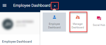 manager dashboard