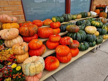 Colourful pumpkin display in front of a shop