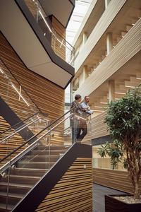 Colleagues chatting on a staircase