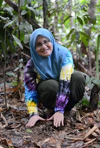 Siti-Munirah in the Hulu Nerus Forest Reserve 